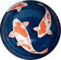 Bol de porțelan Koi 21,5cm